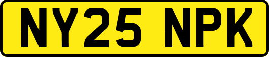 NY25NPK
