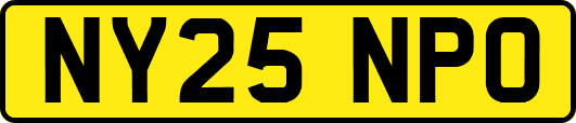 NY25NPO