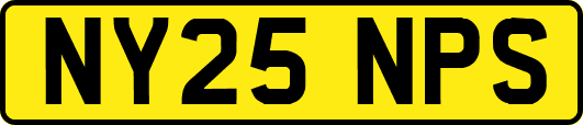 NY25NPS