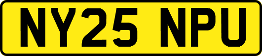 NY25NPU