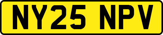 NY25NPV