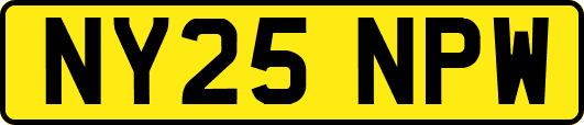 NY25NPW
