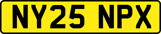 NY25NPX