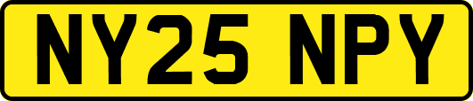 NY25NPY