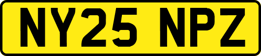 NY25NPZ