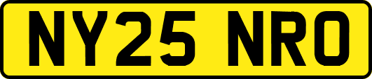 NY25NRO