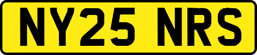 NY25NRS