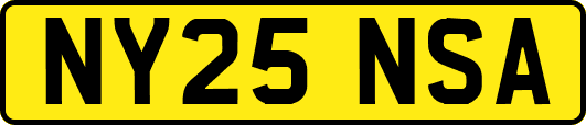 NY25NSA