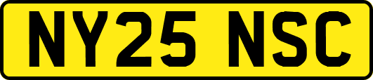 NY25NSC