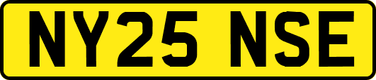 NY25NSE