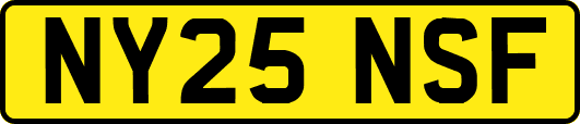 NY25NSF