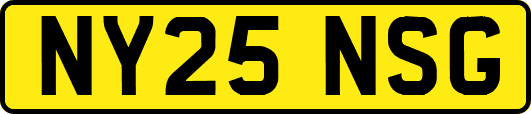 NY25NSG