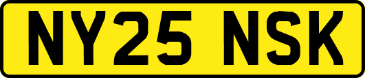 NY25NSK