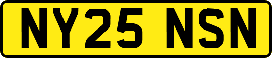 NY25NSN