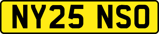 NY25NSO
