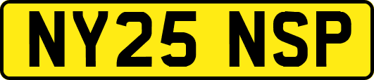 NY25NSP