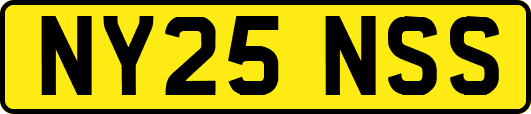NY25NSS