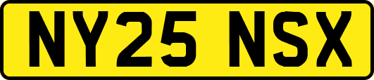 NY25NSX