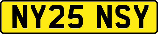 NY25NSY
