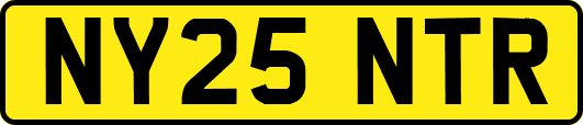 NY25NTR