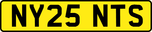 NY25NTS