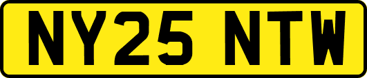 NY25NTW