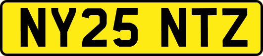 NY25NTZ