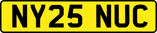NY25NUC