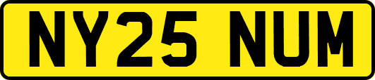 NY25NUM