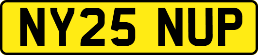 NY25NUP