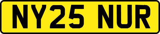 NY25NUR