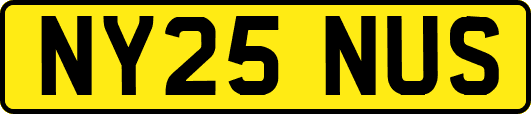 NY25NUS
