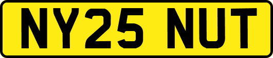 NY25NUT