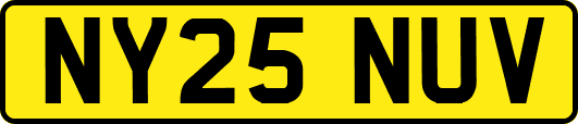 NY25NUV