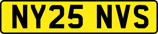 NY25NVS