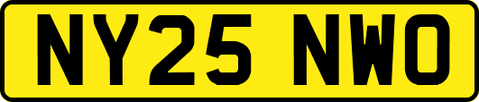NY25NWO