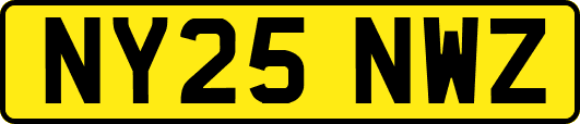 NY25NWZ