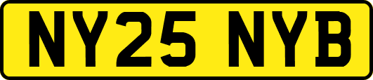 NY25NYB