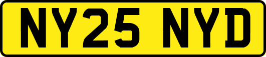 NY25NYD