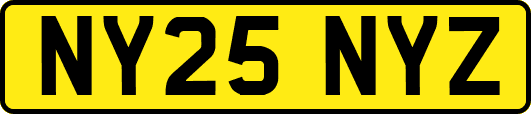 NY25NYZ