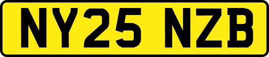 NY25NZB