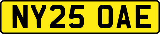 NY25OAE