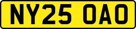 NY25OAO