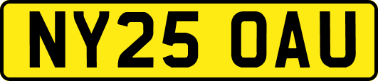 NY25OAU