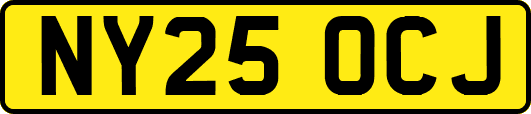 NY25OCJ