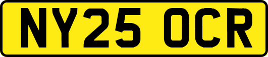 NY25OCR