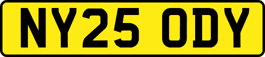 NY25ODY