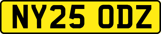 NY25ODZ