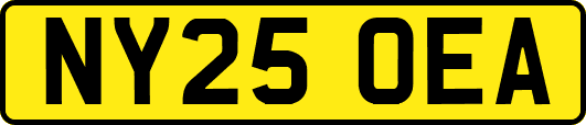 NY25OEA