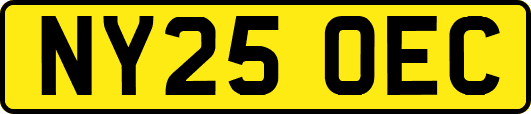 NY25OEC